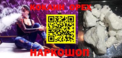 индика Сланцы