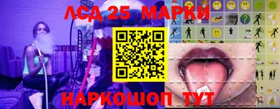 индика Сланцы
