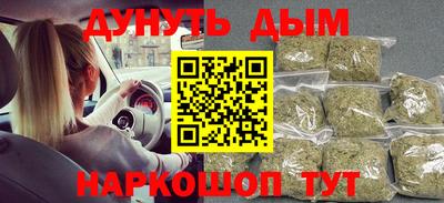 индика Сланцы