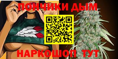 индика Сланцы