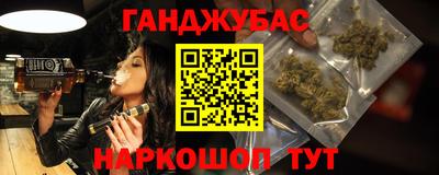индика Сланцы