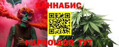 индика Сланцы