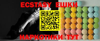 индика Сланцы