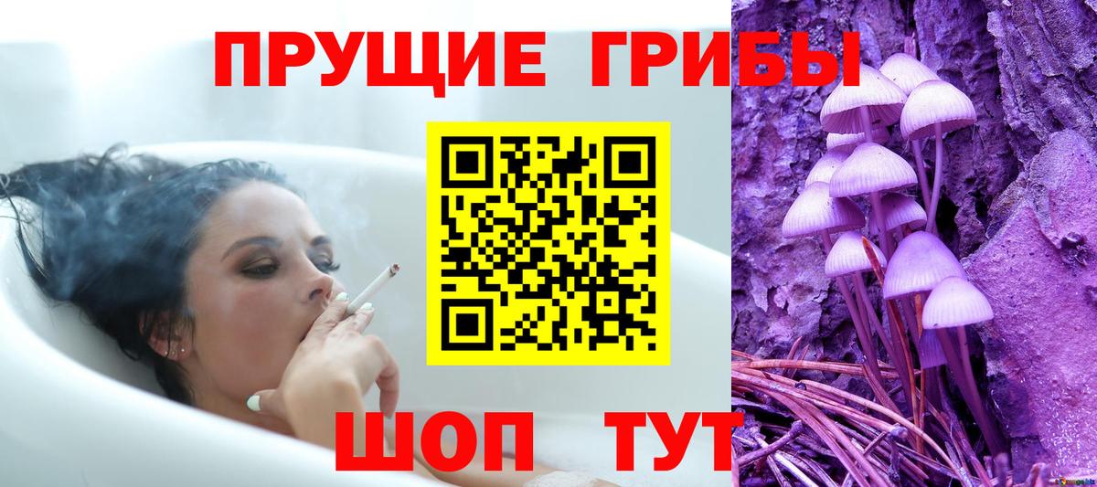 Псилоцибиновые грибы Cubensis  Вход с VPN  купить наркотики цена  Шебекино 